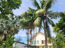 Turf Club Road (D11), Detached #480987801